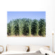 Cornfield Wall Decal