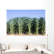 Cornfield Wall Decal