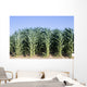 Cornfield Wall Decal