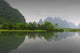 Yulong Wall Decal