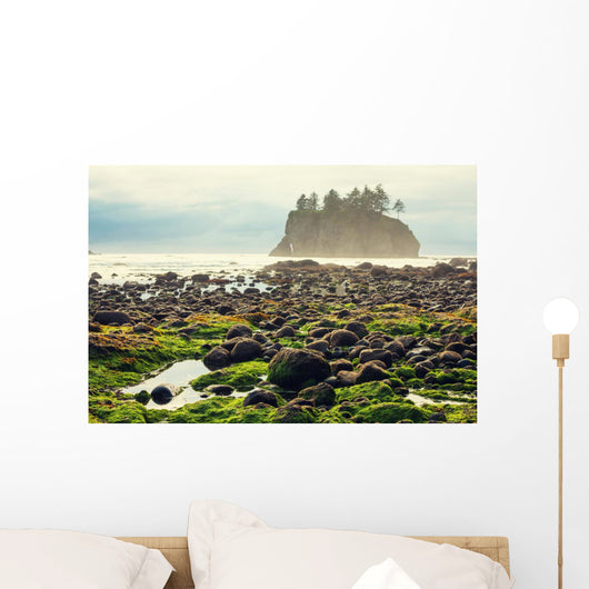 Foggy Natural Olympic Coast Wall Decal