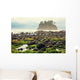 Foggy Natural Olympic Coast Wall Decal
