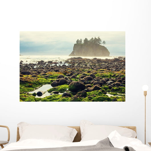 Foggy Natural Olympic Coast Wall Decal