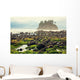 Foggy Natural Olympic Coast Wall Decal