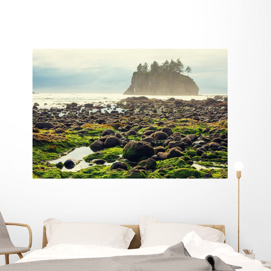 Foggy Natural Olympic Coast Wall Decal