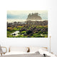 Foggy Natural Olympic Coast Wall Decal