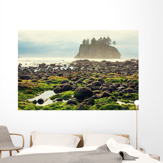 Foggy Natural Olympic Coast Wall Decal