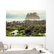 Foggy Natural Olympic Coast Wall Decal
