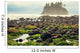Foggy Natural Olympic Coast Wall Decal