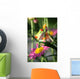 Red Eyed Tree Frog Wall Decal