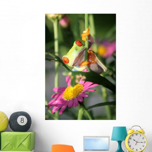 Red Eyed Tree Frog Wall Decal