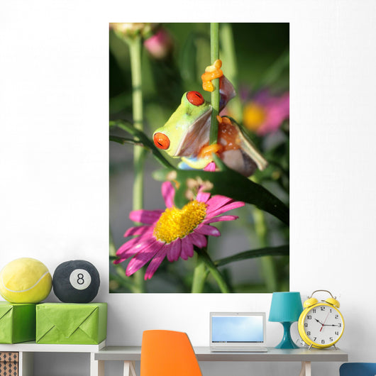 Red Eyed Tree Frog Wall Decal