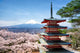Japanese Pagoda Sakura Blossoms Wall Decal