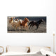 herd of horses Wall Mural