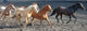 Herd of Horses Wall Mural