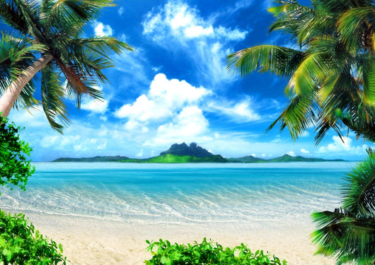 Magical Coast Palm Beach Wall Decal