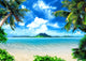 Magical Coast Palm Beach Wall Decal