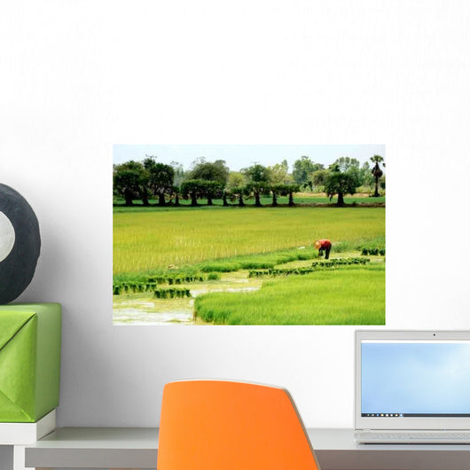 Rizieres Asie Wall Decal