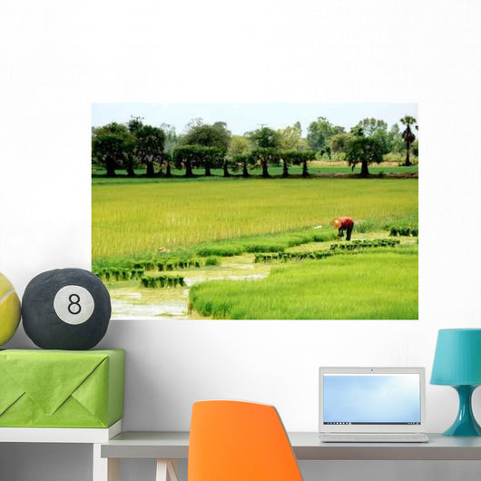 Rizieres Asie Wall Decal