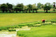 Rizieres Asie Wall Decal