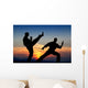 Martial Art Wall Mural