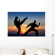 Martial Art Wall Mural
