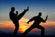 Martial Art Wall Mural