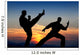 Martial Art Wall Mural