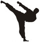 Martial art 