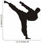 Martial art 