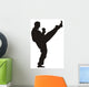 Martial Art 