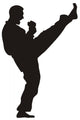 Martial Art 