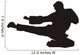 Martial Art 