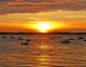 Sunset Wall Mural