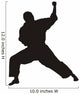 Martial art 