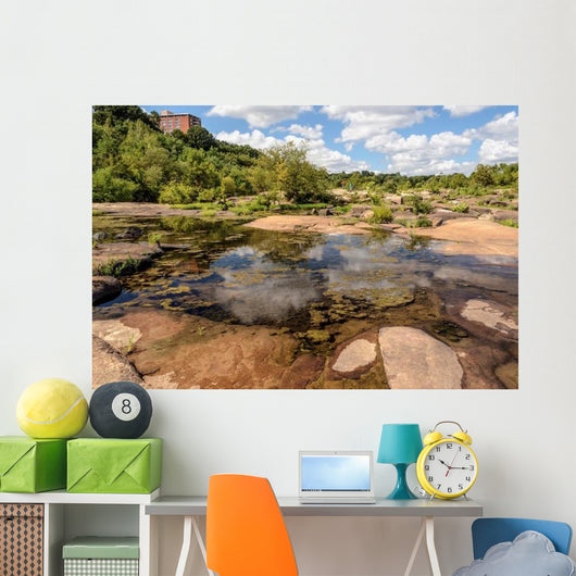 James River Richmond Va Wall Decal
