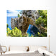 Capri island in Italy Wall Mural