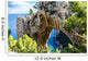 Capri island in Italy Wall Mural