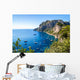 Capri island in Italy Wall Mural