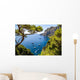 Capri island in Italy Wall Mural