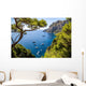 Capri island in Italy Wall Mural