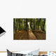 Autumn Forest Wall Mural