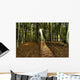 Autumn Forest Wall Mural