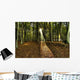 Autumn Forest Wall Mural