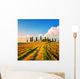 Tuscany, farmland, cypress trees and white road on sunset. Siena Wall Mural