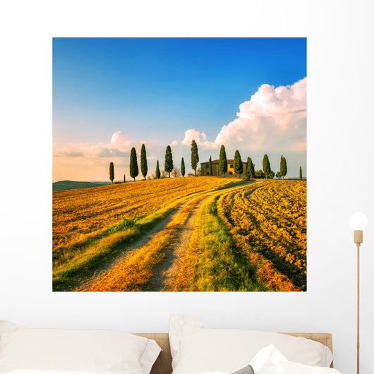 Tuscany, farmland, cypress trees and white road on sunset. Siena Wall Mural