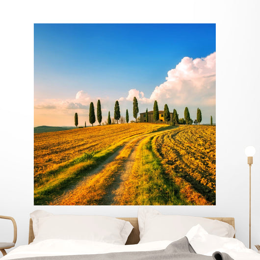 Tuscany, farmland, cypress trees and white road on sunset. Siena Wall Mural