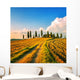 Tuscany, farmland, cypress trees and white road on sunset. Siena Wall Mural