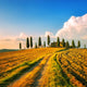 Tuscany, farmland, cypress trees and white road on sunset. Siena Wall Mural