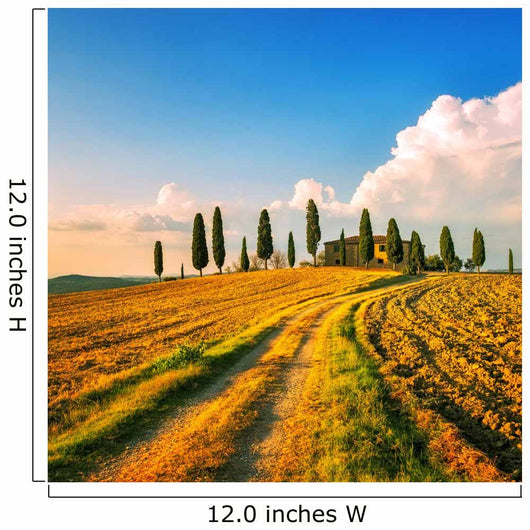 Tuscany, farmland, cypress trees and white road on sunset. Siena Wall Mural